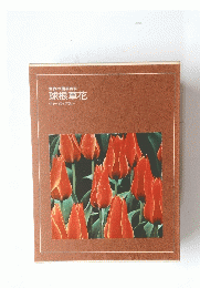 世界の園芸百科 球根草花