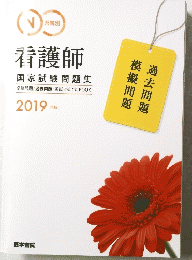 看護師 国家試験問題集　　2019