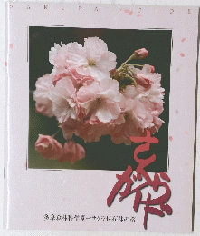 さくらガイゴ多摩森林科学園サクラ保存林の桜
