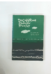 DISCOVERING MODERN POETRY