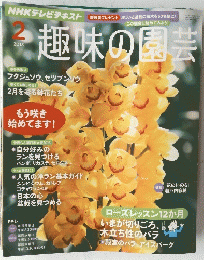 趣味の園芸　2013　2
