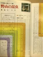 野山の昆虫