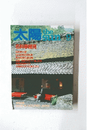太陽　the sun ９　No.２５５