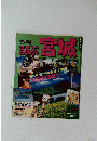 るるぶ宮城　'93-94 6号