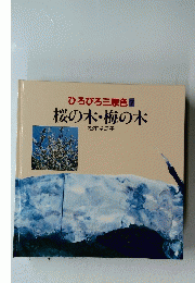 ひろびろ三原色7桜の木・梅の木