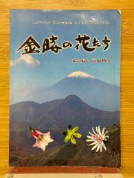 金時の花たち
