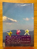 金時の花たち