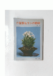 小型野生ランの栽培