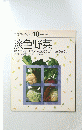 素材クッキング10　淡色野菜