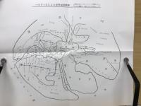 歴史　上下 2冊セット