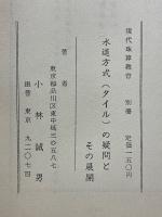 水道方式(タイル)の疑問とその展開