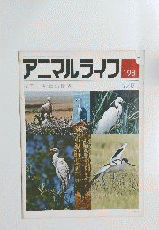 アニマルライフ　198　12月17日号