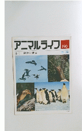  週刊 動物の世界 　アニマルライフ　190