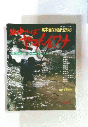 旅かばヤマメ・イワナ　高木國保の最新漢流釣り　９８