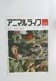 アニマルライフ　175　