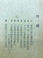 恵那市史　史料編　考古・文化財