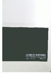 JUNICHI HAYAMA ILLUSTRATION COLLECTION