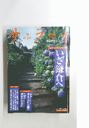 サライ　2005年5月