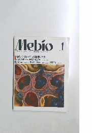 Mebio 　 昭和63年1月10日発行