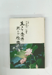 精神科医　水谷敬親法話集　生きて念佛死んで極楽