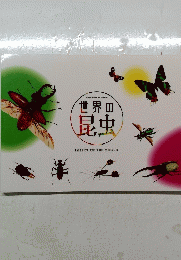 世界の昆虫