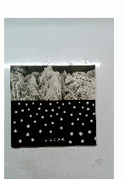 加山又造展