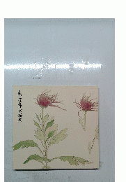 山口蓬春素描集