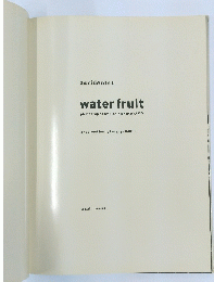 accidents 1 water fruit