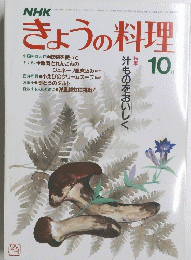 きょうの料理　10