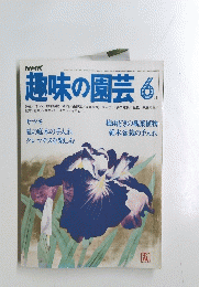 趣味の園芸 昭和５５年6月号