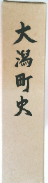 大潟町史