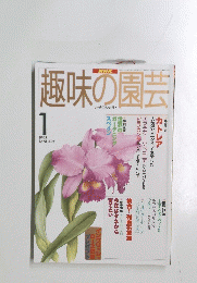 趣味の園芸　1998　1