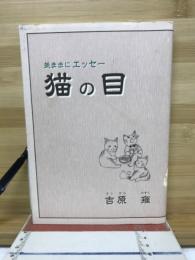 気ままにエッセー　猫の目