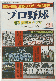 プロ野球　