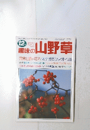 趣味の山野草　12月