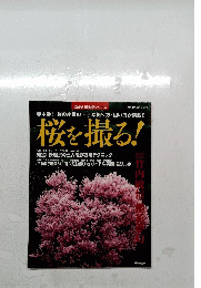 桜を撮る!