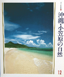 沖縄・小笠原の自然　12