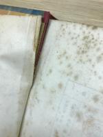 面白い数学