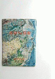 標準地図