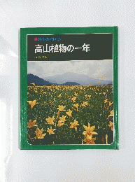 高山植物の一年