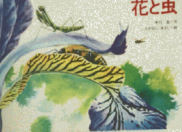 花と虫　