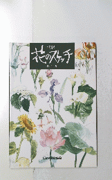 花のスケッチ