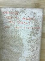ドイツ医学の発展 : シュトリュムペル自伝