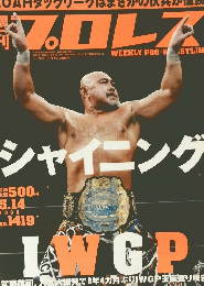 WEEKLY PRO-WSTLING　2008年5月14日号