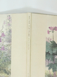 晃嶺の百花譜五百城文哉の植物画