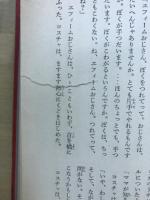 少年少女新世界文学全集