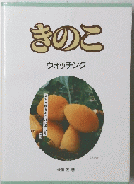 きのこ　ウォッチング