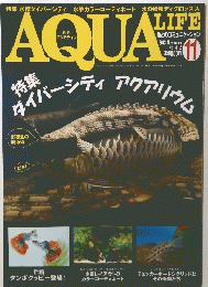AQUA　LIFE１１　2013年11月号