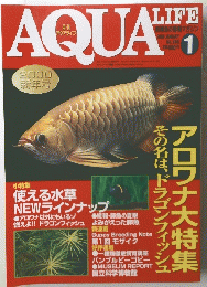 AQUA　LIFE　1