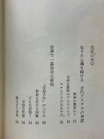 シャボテン幻想